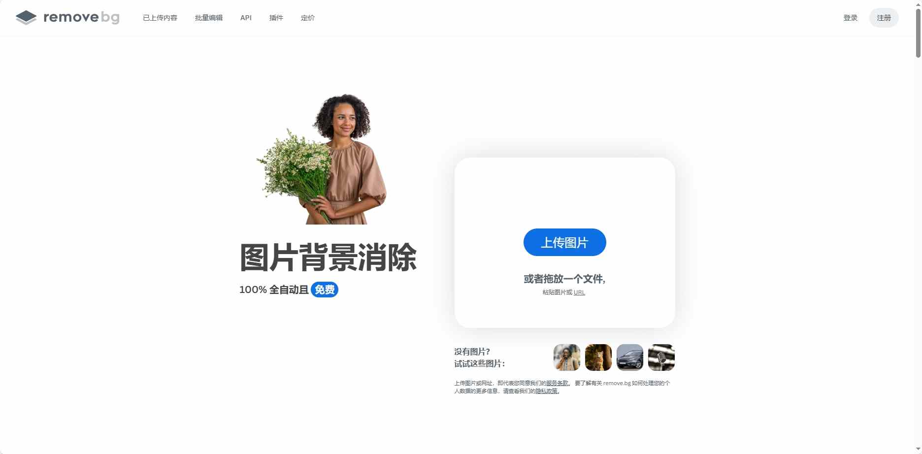 remove.bg - 5秒AI智能抠图工具 | 批量处理零技术门槛专业去背景